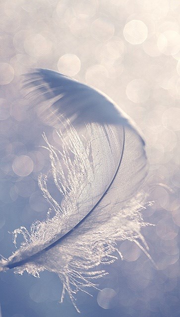 Think on These Things