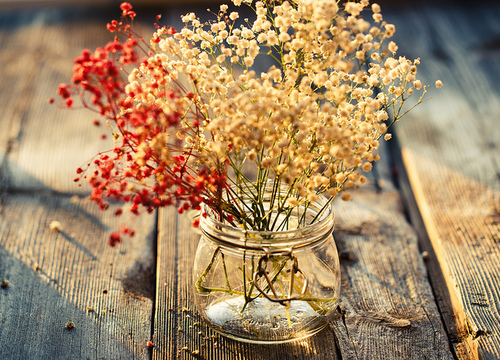 Just to sit for a while